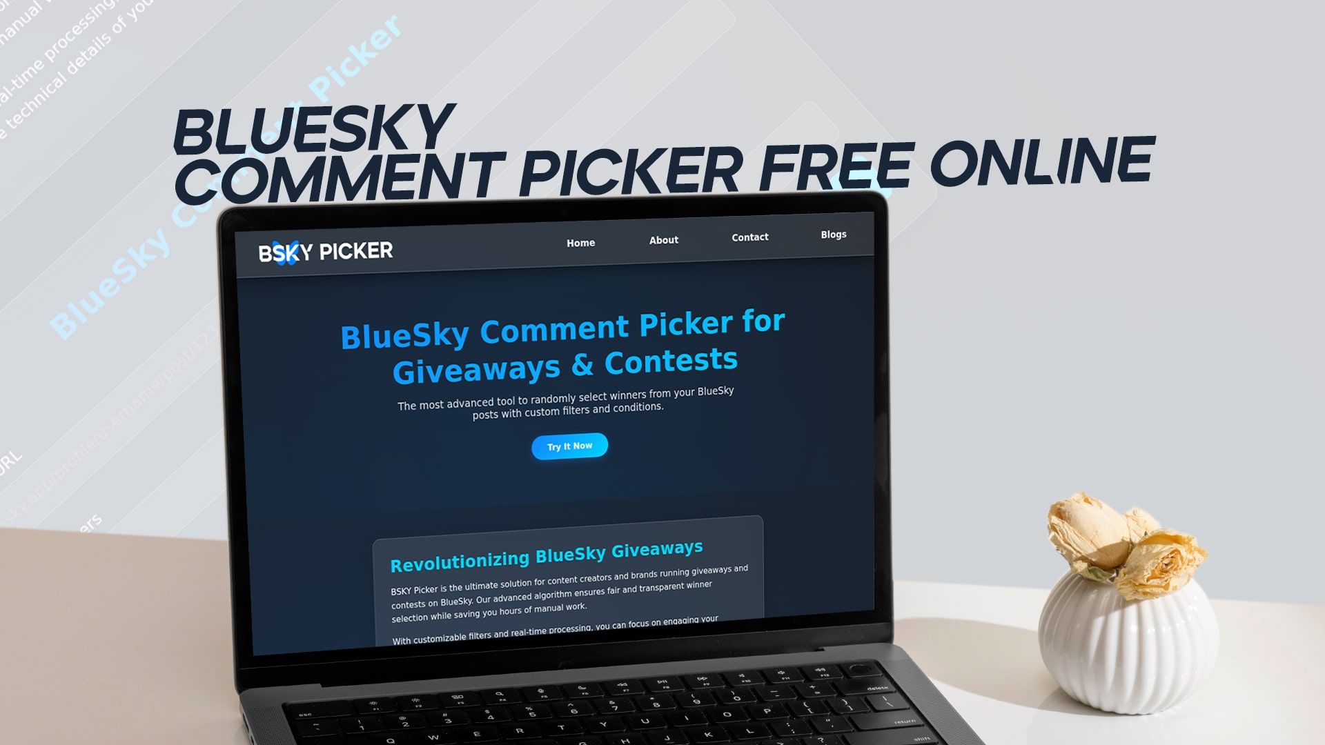 Bluesky Comment Picker Free Online